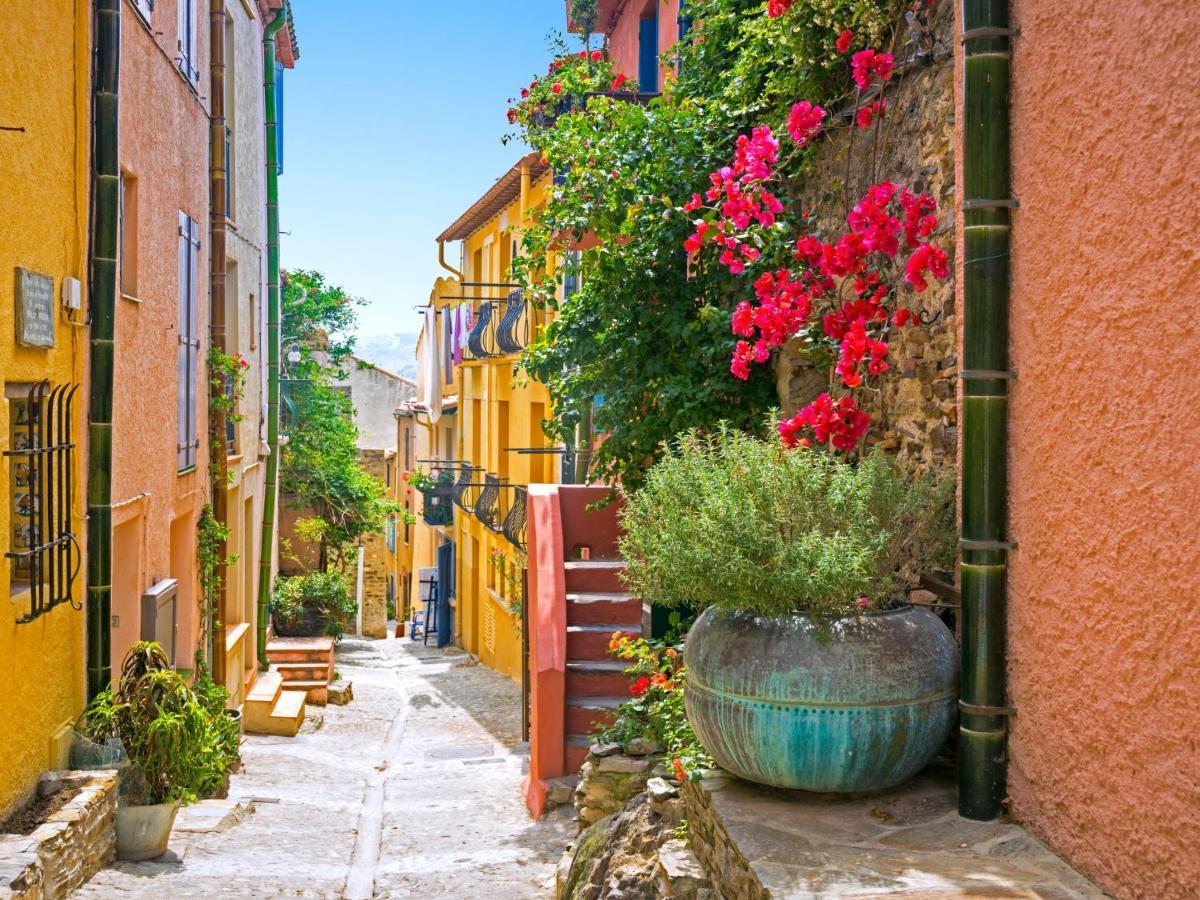 Apartment Les Roches Bleues-5 By Interhome Collioure Exterior foto